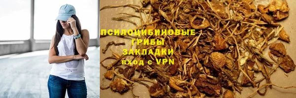 экстази Арсеньев