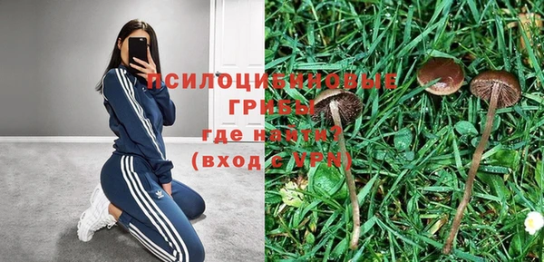 прущая мука Армянск