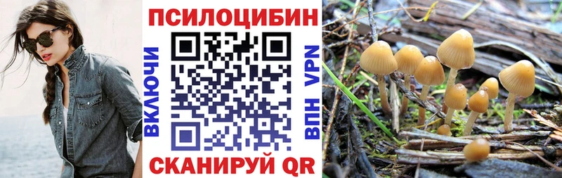 Галлюциногенные грибы прущие грибы  Чапаевск 